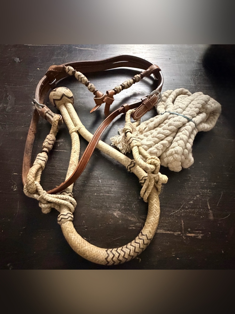 Western Rawhide bosal hackamore cotton breaking mecate, rawhide looped hanger